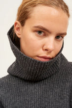 Cargar imagen en el visor de la galería, Jersey Roller Gris