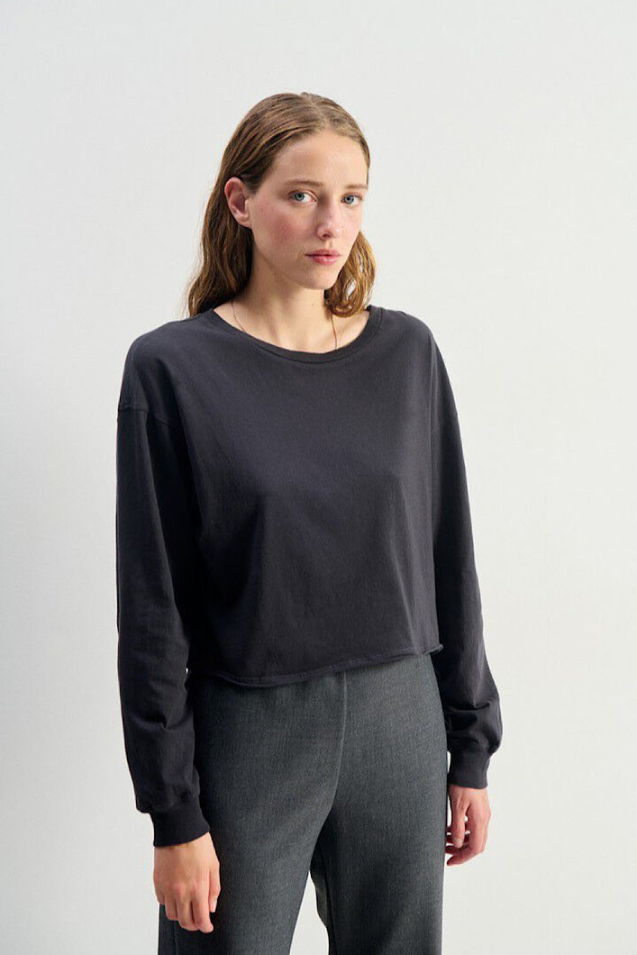Camiseta Apoly Gris
