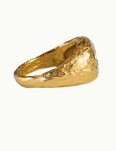 Anillo Hydra